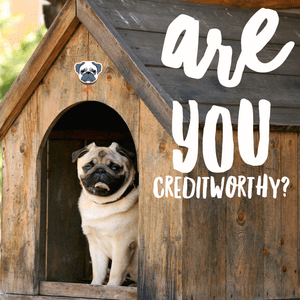 Are You Creditworthy?